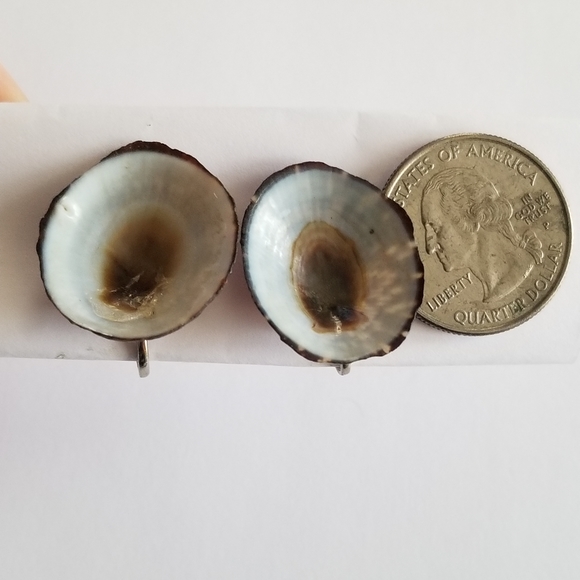 Vintage seashell screwback earrings sea shell silver tone ocean beach co… - Picture 10 of 10